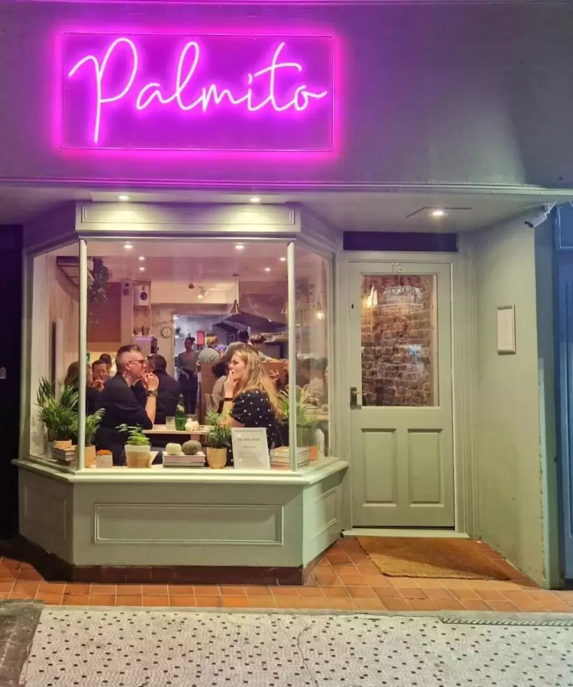 Palmito