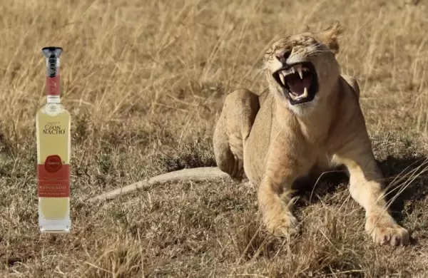 El mejor tequila del mundo, segn los premios Bartender Spirits Awards 2025