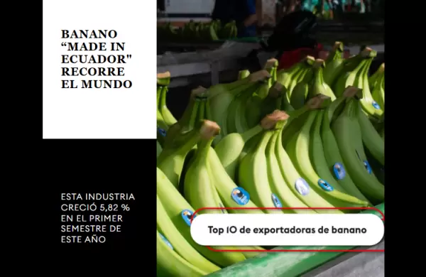 Newsletter #51: Top 10 de exportadoras de banano