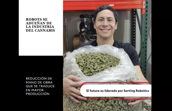 Newsletter #52: Sorting Robotics y el cannabis