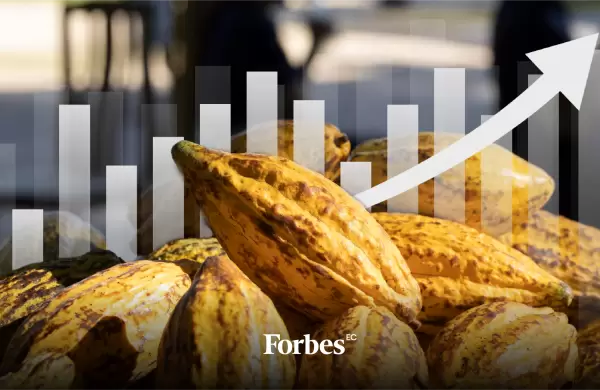 El top 10 de empresas exportadoras de cacao ecuatoriano