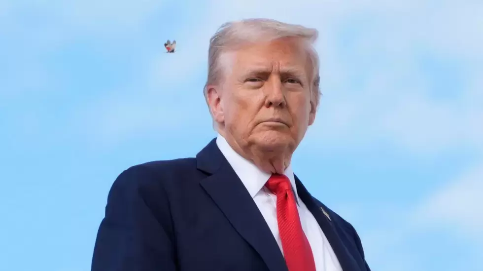 0x0 (20)