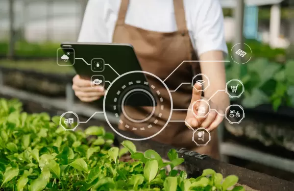 Cuando las piezas se encuentran: innovación y colaboración