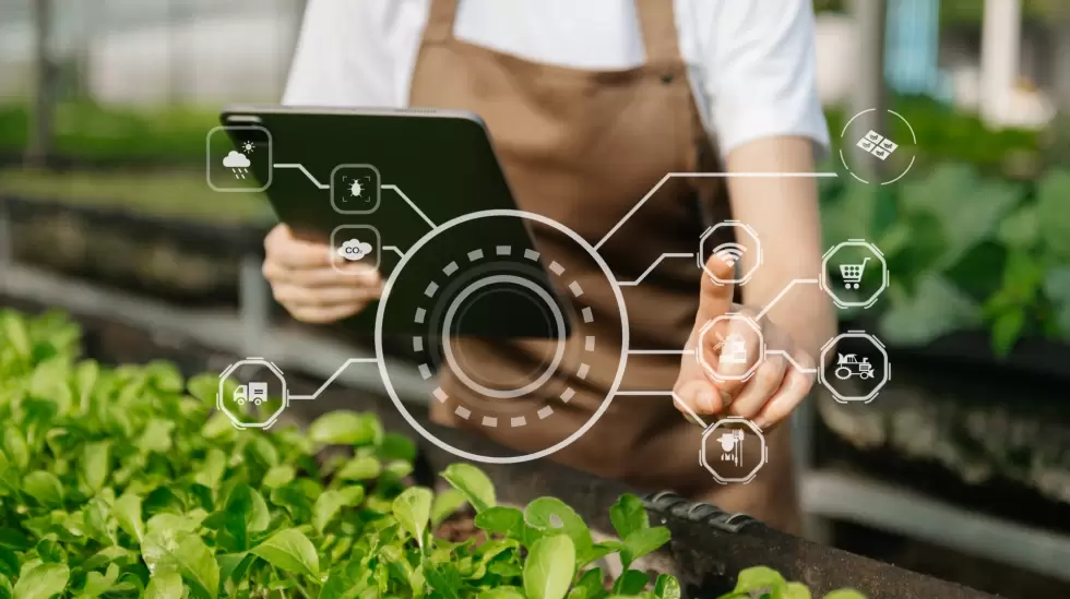 innovacion y transformacion agro