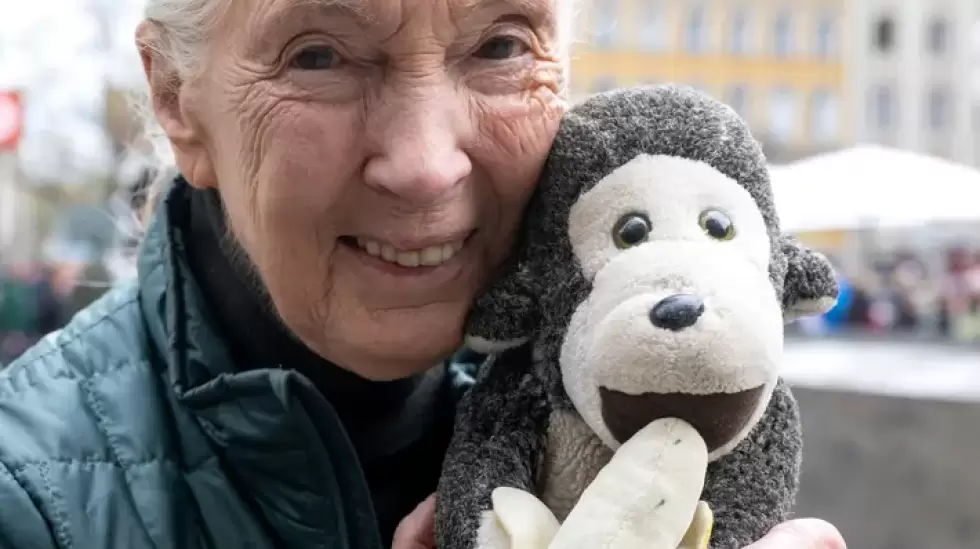 jane-goodall-dead