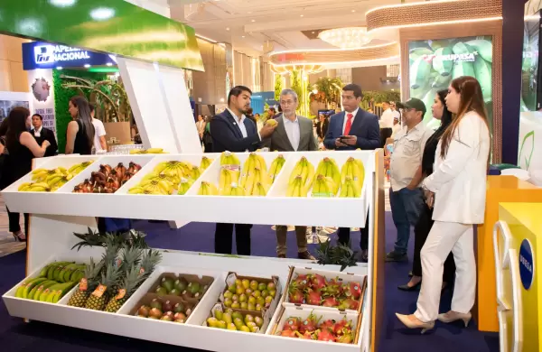La industria bananera analiza la sostenibilidad del sector