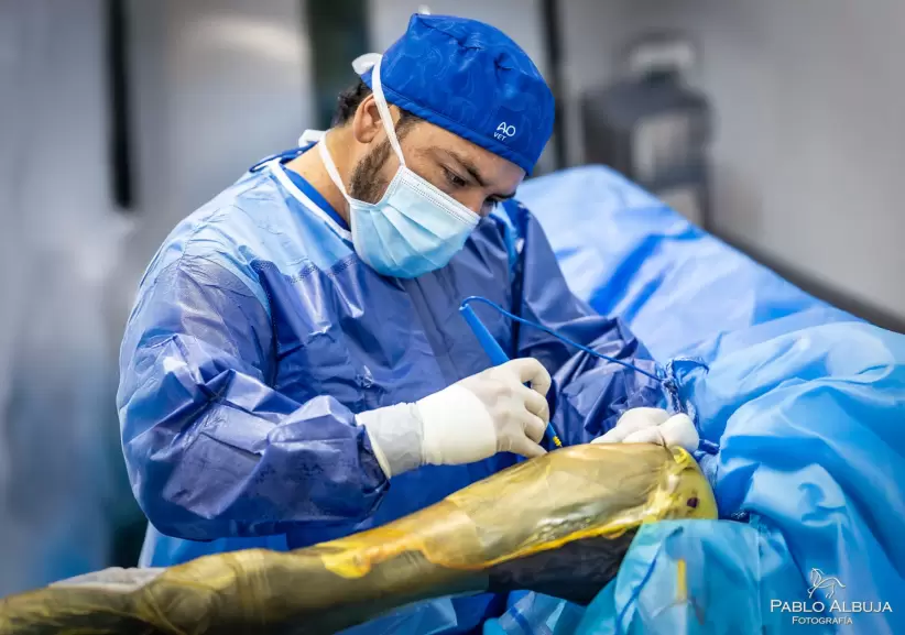 Publi Sebastián Mejía veterinario