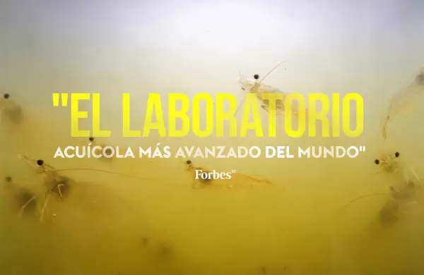 Ecuador tiene un modelo acuícola sostenible que el mundo replica