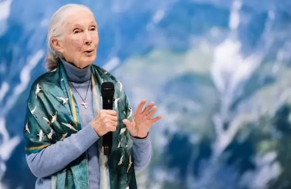 Jane Goodall: Brújula moral en la acción climática