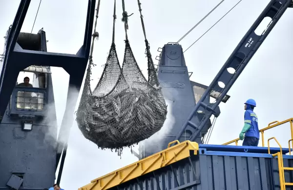 Ecuador se mantiene como el segundo mayor exportador de atn en el mundo