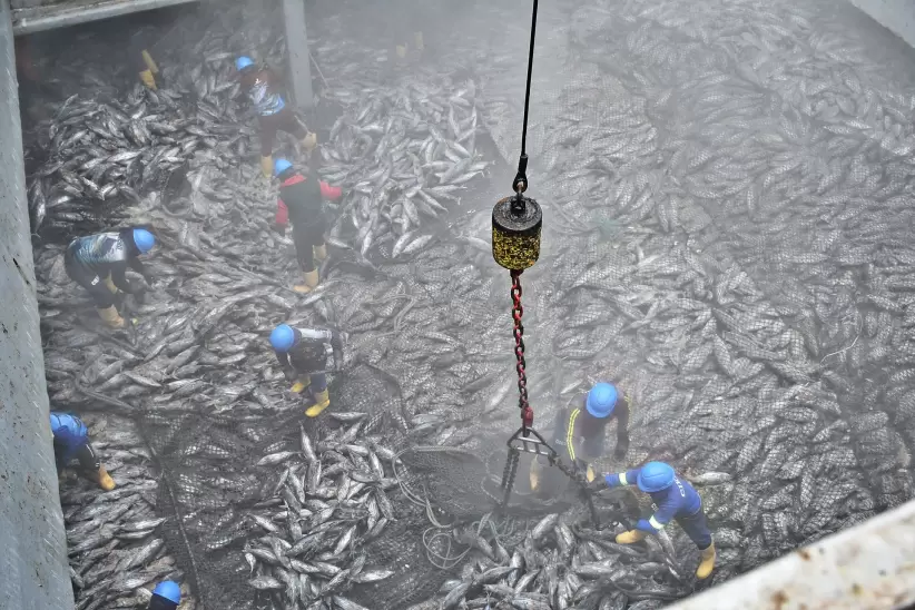 Sexto foro de sostenibilidad del Atún Manta Manabí