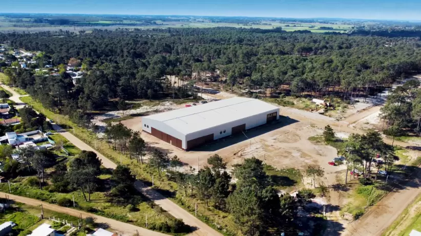 Planta de Mood en El Pinar para construcción en madera. Foto: Gentileza Mood.