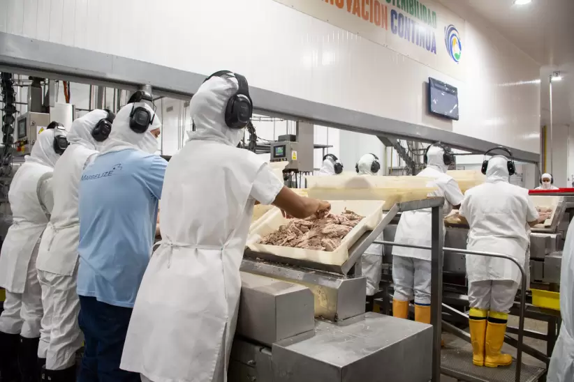 Andrés Cuka, Marbelize