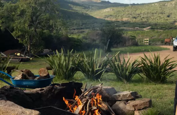 El negocio de conservar: cmo Las Campanas convirti 650 hectreas de Lavalleja en un fideicomiso regenerativo