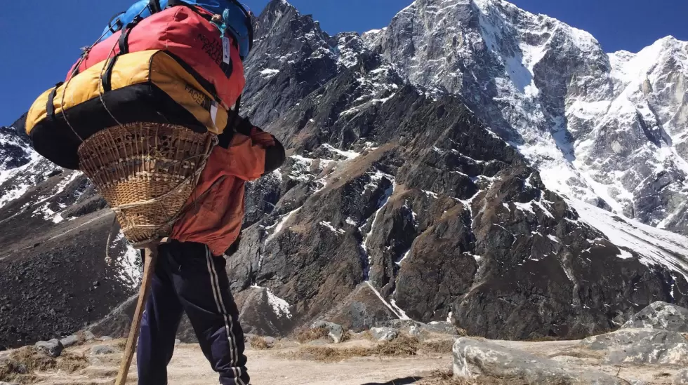 crecimiento integral