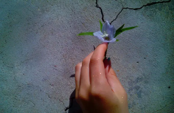 La fragilidad de la paz