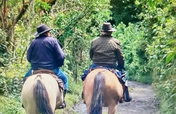 Raíces y crónicas viejas