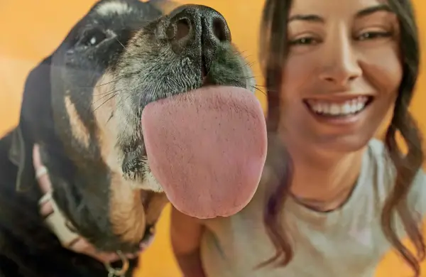 La startup que quiere darle más años de vida a los perros