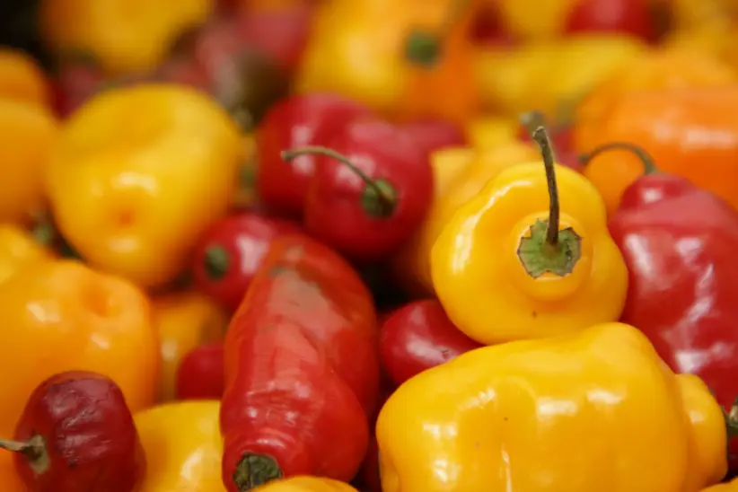 Remu Foods Cayambe Ecuador 