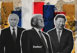 La batalla por las tierras raras