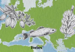 ¡Récord! las exportaciones a la UE superaron los US$ 6.000 millones en 2025