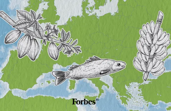 ¡Récord! las exportaciones a la UE superaron los US$ 6.000 millones en 2025