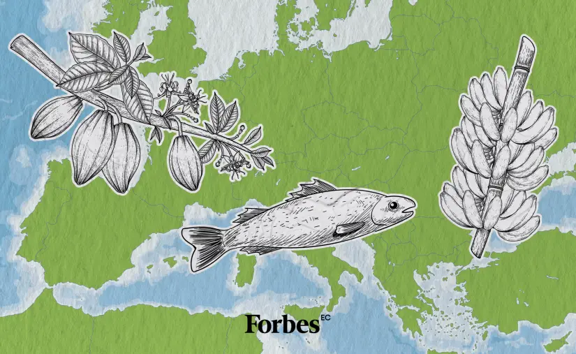 ¡Récord! las exportaciones a la UE superaron los US$ 6.000 millones en 2025