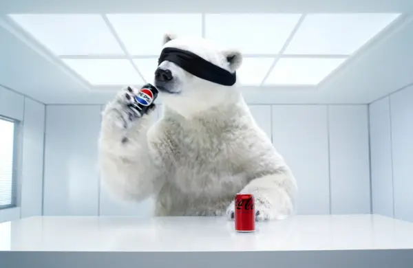 La elección del oso polar que agita esta rivalidad