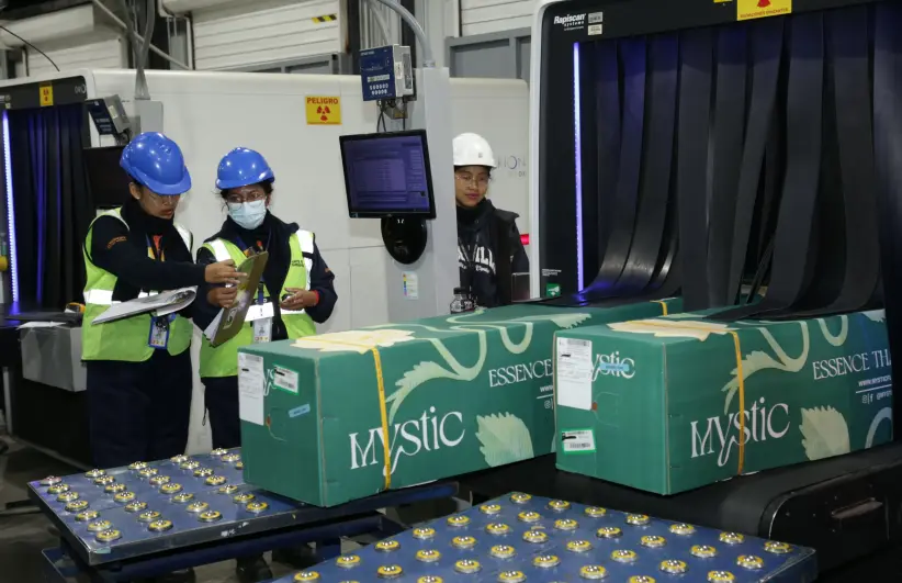 Aeropuerto mariscal Sucre exportación flores San Valentín