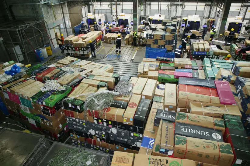 Aeropuerto mariscal Sucre exportación flores San Valentín