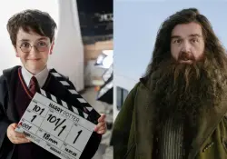 Hasbro creará muñecos y figuras de acción de Harry Potter para la serie de televisión