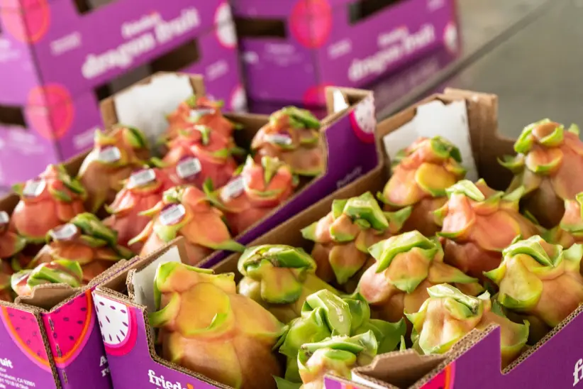 Pitahaya , Ecua Rurukuna , Jorge Nuñes Guayas Guayaquil