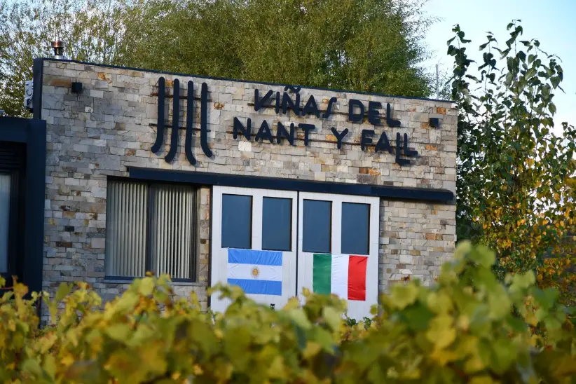 Viñas del Nant y Fall 