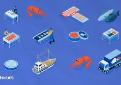 El sector camaronero, el mayor generador de empleo en Ecuador en 2025