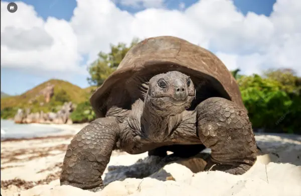  Un pasado que regresa
