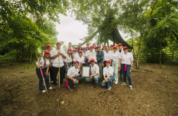 Banco Guayaquil consolida una gestión ambiental eficiente y verifica su huella de carbono 2024