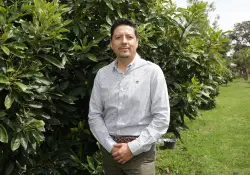 La calidad del aguacate ecuatoriano llega a 31 países