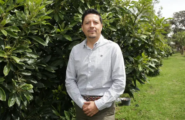 La calidad del aguacate ecuatoriano llega a 31 países