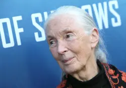 Lo que Jane Goodall nos enseñó sobre dejar un legado