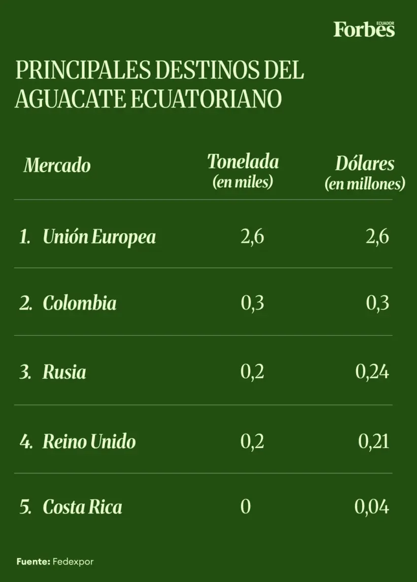 Principal destino del aguacate ecuatoriano