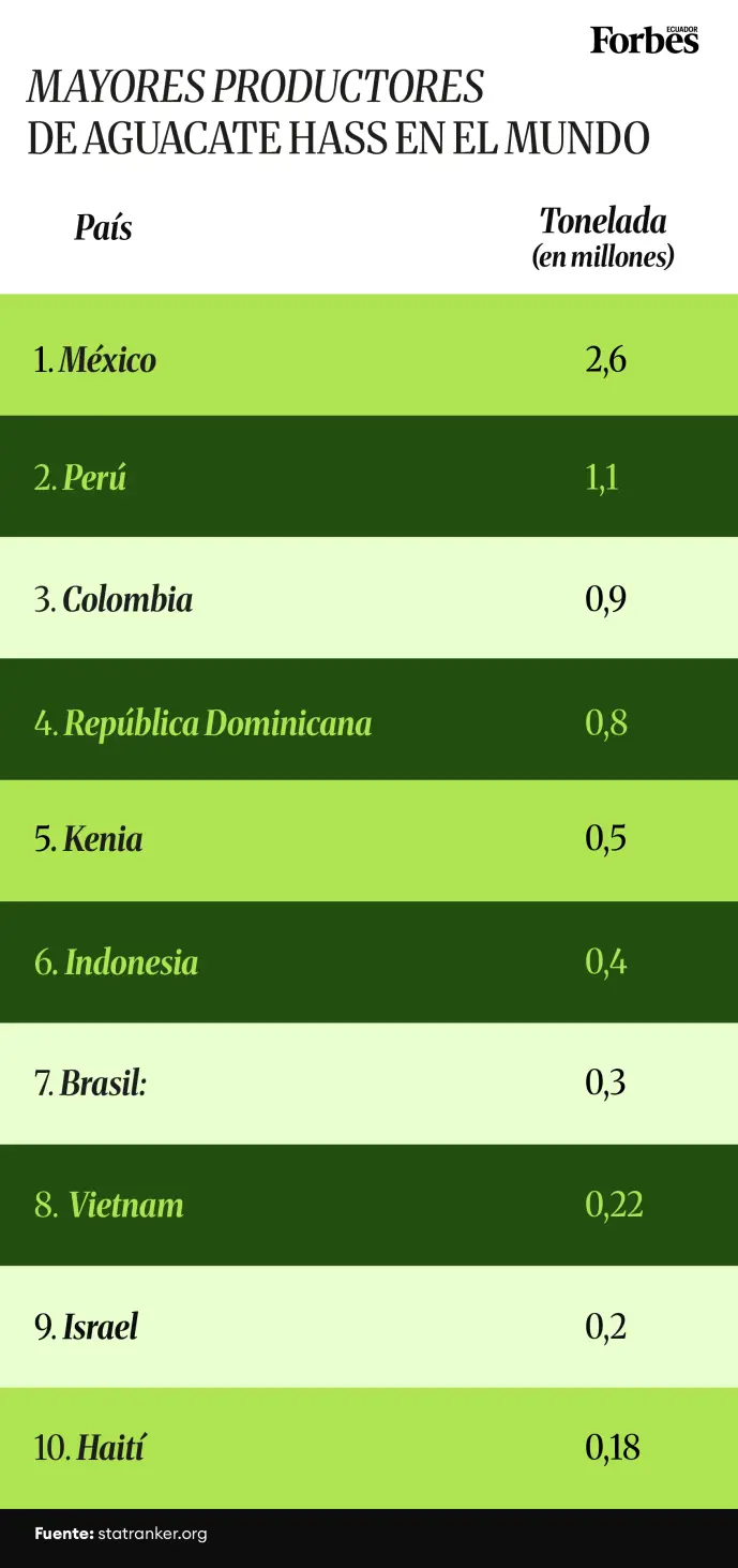 Principales productores de aguacate Hass en el mundo