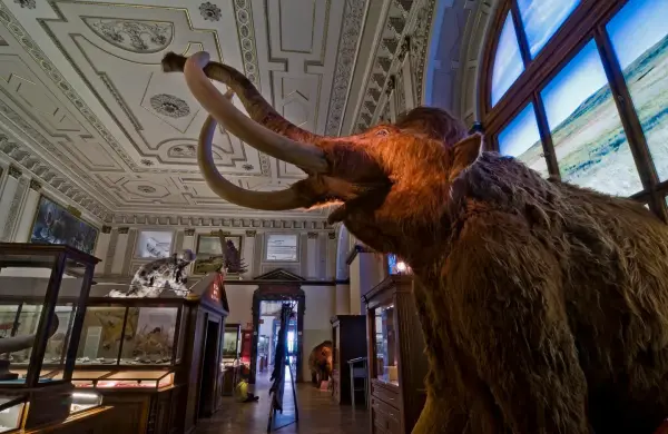 Esta empresa de US$ 10.000 millones resucitó al lobo gigante y ahora quiere traer de vuelta a los mamuts