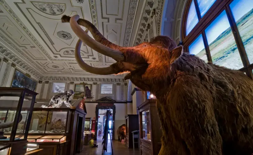 Esta empresa de US$ 10.000 millones resucitó al lobo gigante y ahora quiere traer de vuelta a los mamuts