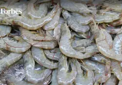 Estas fueron las 30 mayores exportadoras de camarón ecuatoriano en 2025