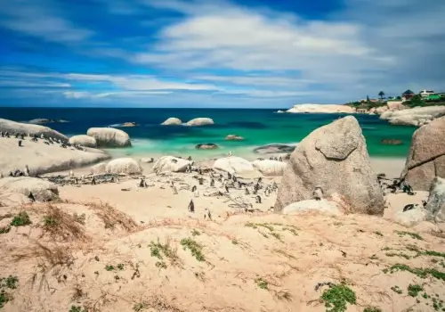 ¿Cuáles son las diez playas más populares del mundo?