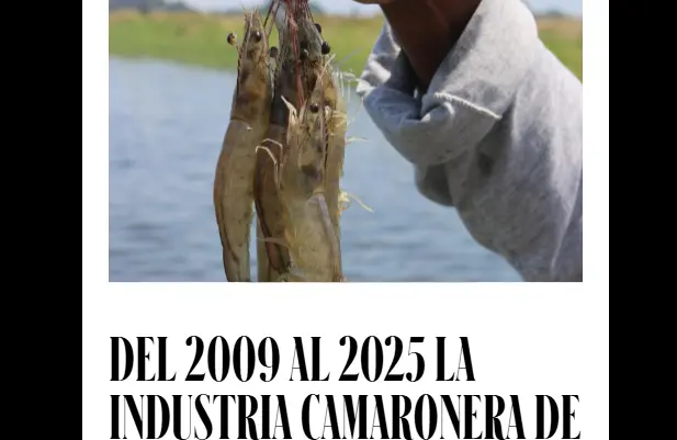 Newsletter #80: ¡La industria camaronera de Ecuador creció 10 veces!