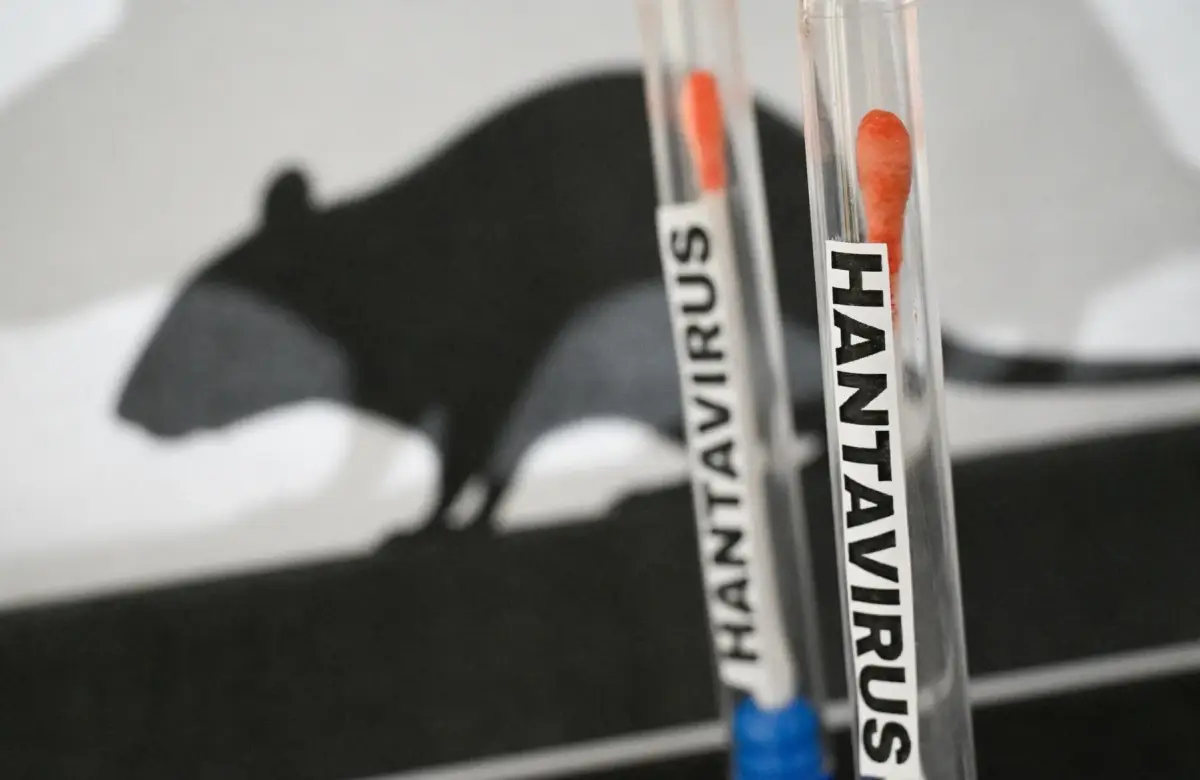 ¿Qué tan grave podría llegar a ser el brote de hantavirus?
