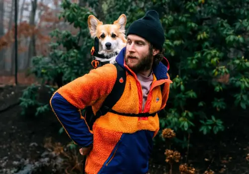 Este influencer pasea perros de refugio en una mochila por Nueva York y logra que los adopten en 48 horas