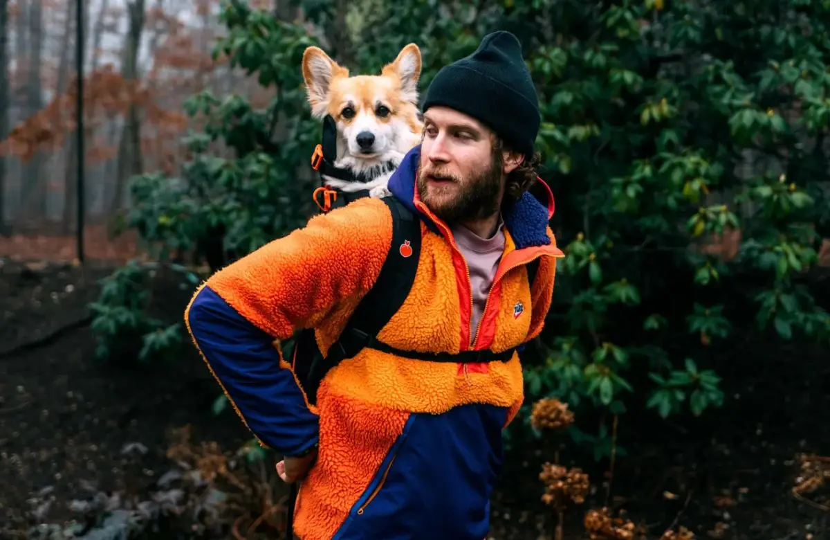 Este influencer pasea perros de refugio en una mochila por Nueva York y logra que los adopten en 48 horas