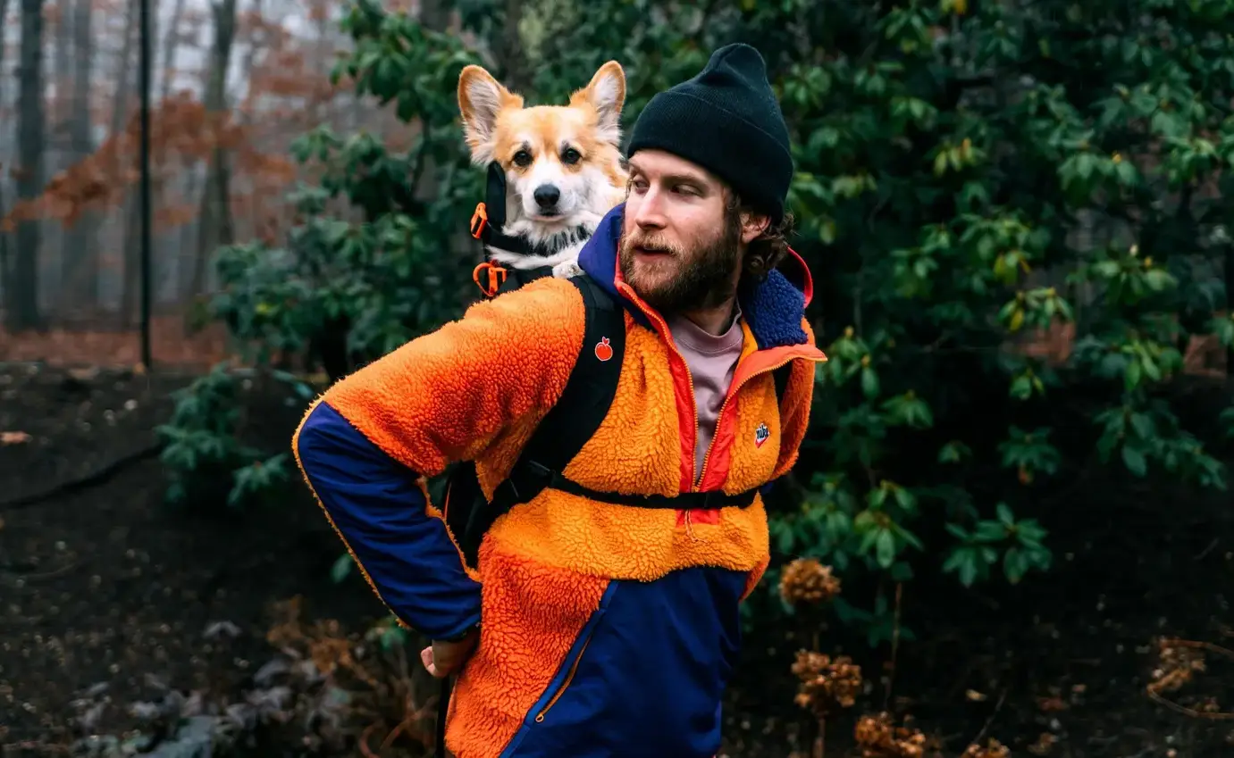 Este influencer pasea perros de refugio en una mochila por Nueva York y logra que los adopten en 48 horas